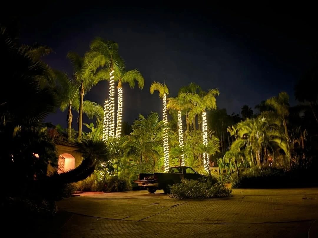 Holiday light install